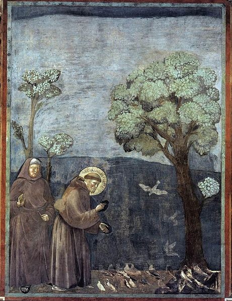 461px Giotto di Bondone Legend of St Francis 15. Sermon to the Birds WGA09139